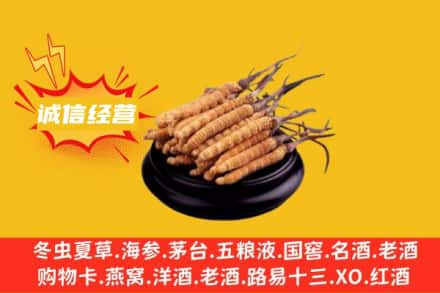宜昌西陵区回收冬虫夏草